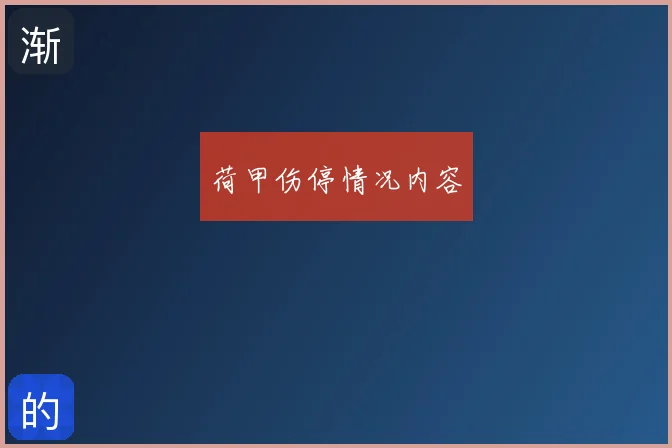荷甲伤停情况内容